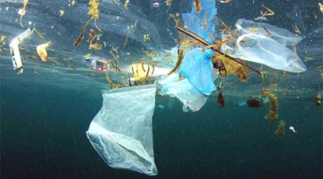 Nu forbyder også New Zealand plastposer