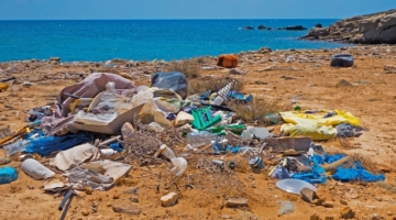 Nordisk opfordring: global plastplan